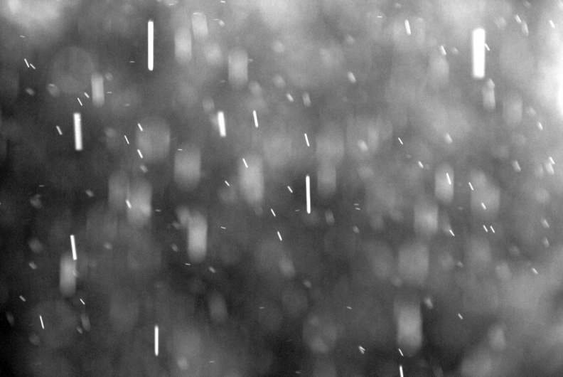 La pluie tombe en noir et blanc