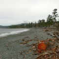 Vancouver bois sur la plage